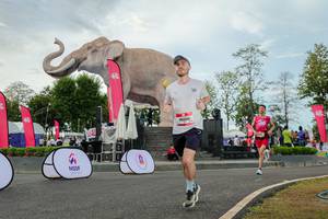 BIB: 
                            <button type="button" onclick="openModal(26528741)" class="btn btn-primary btn-sm float-right btn-popup" data-toggle="modal" data-target=".modal-high-quality">
                        <i class="fas fa-shopping-cart"></i> Add to Cart
                    </button>
                                            <button type="button" onclick="isThisMe(26528741, true)" class="btn btn-success btn-sm float-right btn-popup btn-isme hidden" data-toggle="tooltip" data-placement="bottom" title="นี่คือรูปของคุณใช่ไหม คลิกที่นี่เพื่อเอาเข้าอัลบั้ม">
                        <i class="fas fa-plus"></i> Add to album
                    </button>
                    <button type="button" onclick="isThisMe(26528741, false)" class="btn btn-warning btn-sm float-right btn-popup btn-isnotme hidden">
                        <i class="fas fa-ban"></i> Remove from album
                    </button>